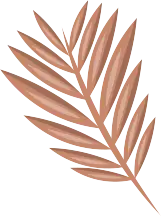 Bulk Email Service Provider